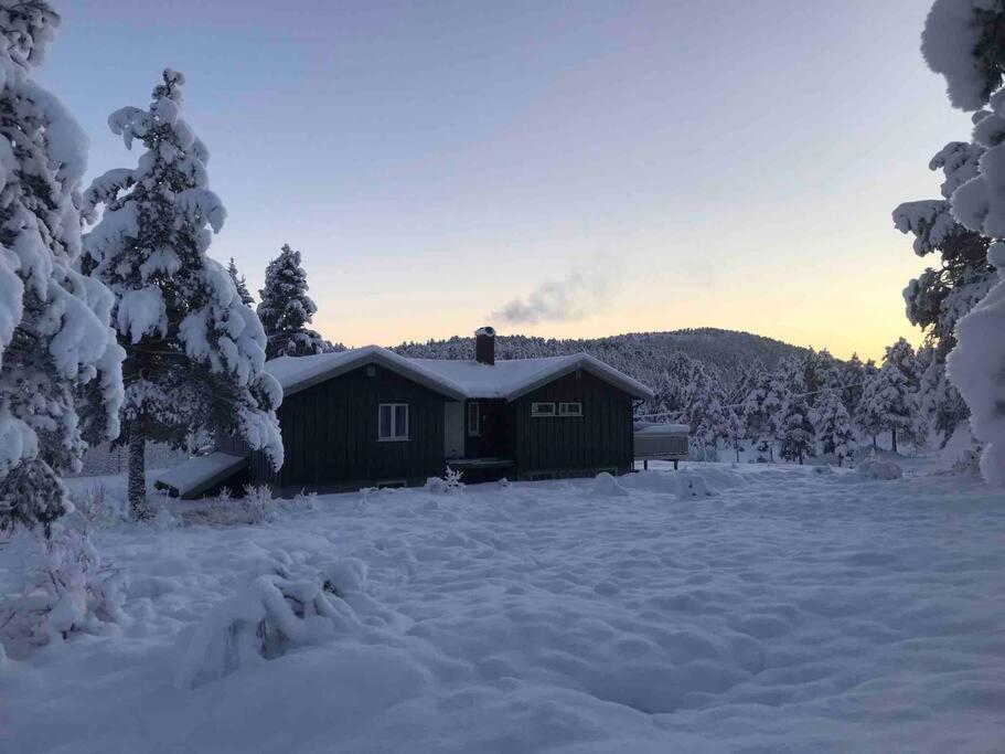 Frittliggende Hytte I Flott Turterreng Molde Exterior foto