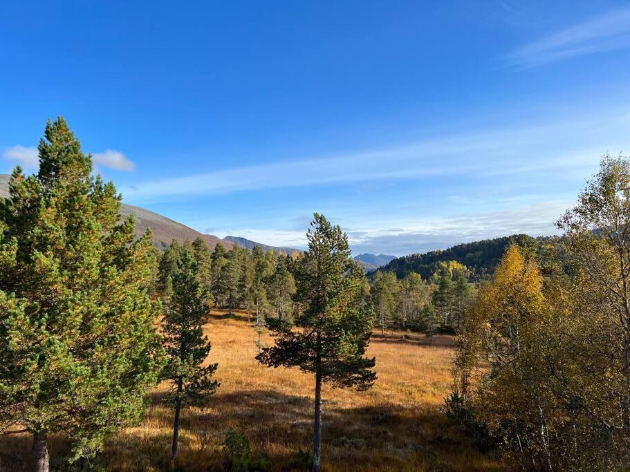 Frittliggende Hytte I Flott Turterreng Molde Exterior foto